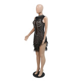 Sexy Mesh Dress with Rhinestones, Beads, and Feathers