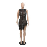 Sexy Mesh Dress with Rhinestones, Beads, and Feathers