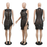 Sexy Mesh Dress with Rhinestones, Beads, and Feathers