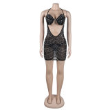Sexy Bodycon Dress with Rhinestone and Fringe Detailing, featuring Sheer Panels and Diamond Embellishments