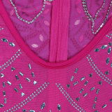 Sexy Bodycon Dress with Rhinestone and Fringe Detailing, featuring Sheer Panels and Diamond Embellishments
