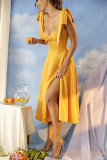 Sexy Backless Spaghetti Strap Vacation Chiffon Dress