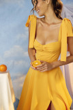 Sexy Backless Spaghetti Strap Vacation Chiffon Dress