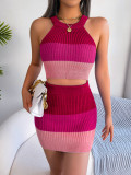 Color Block Sleeveless Crop Knit Top and Skirt Set