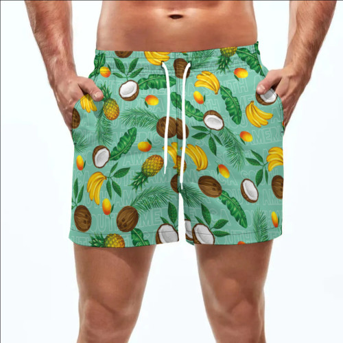 Summer Men's Beach 5-point Shorts Quick-drying Printed Pants