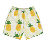 Summer Men's Beach 5-point Shorts Quick-drying Printed Pants