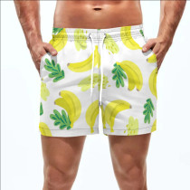 Summer Men's Beach 5-point Shorts Quick-drying Printed Pants