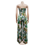 Floral Print Sleeveless Collarless Jumpsuit
