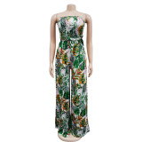 Floral Print Sleeveless Collarless Jumpsuit