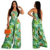 Floral Print Sleeveless Collarless Jumpsuit