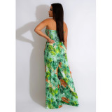 Floral Print Sleeveless Collarless Jumpsuit