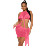 Mesh Fabric Sleeveless Camisole with Ruffled Hem Half Skirt