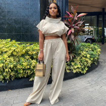 Solid Color Woven Women's Clothing Fashion Crop Tops and Long Pants