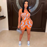 Casual 2 Piece Set Straps Zebra Print Short Set