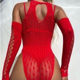 Fishnet Hollow Mesh Sexy Lingerie