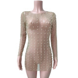 Dazzling Rhinestones and Pearls Sheer Mesh Dress