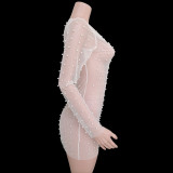 Dazzling Rhinestones and Pearls Sheer Mesh Dress