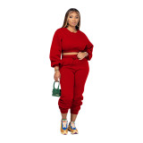 Solid Color Round Neck Sweatshirt Pant Set