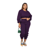 Solid Color Round Neck Sweatshirt Pant Set