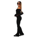 Stylish Comfortable Slim Low Waist Flared Pants