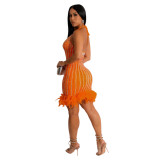 Women's Beaded Feathered Netted Lace-Up Dress