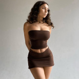 Short Strapless Crop Top and Bodycon Mini Skirt Two-piece Set