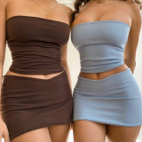 Short Strapless Crop Top and Bodycon Mini Skirt Two-piece Set