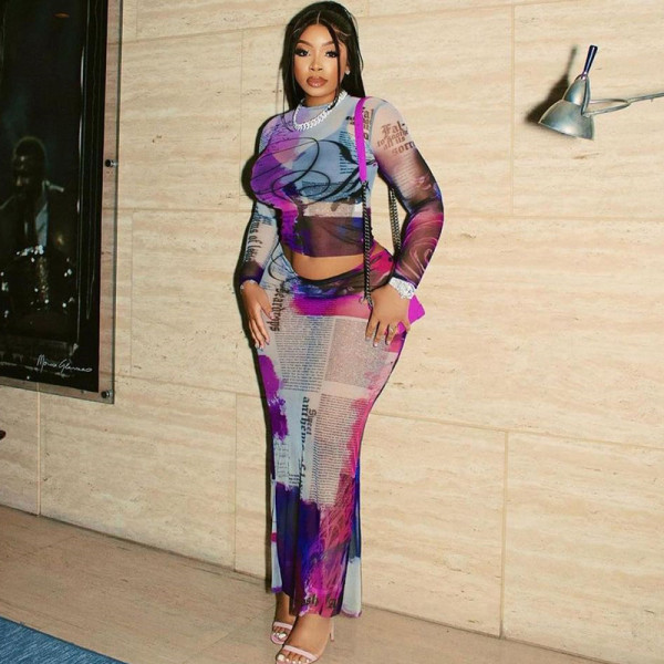 Floral Print Sheer Mesh Round Neckline and Bodycon Mini Skirt Two-Piece Set