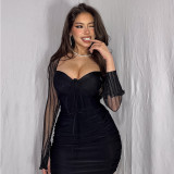 Lace Mesh Color Block Bodycon Dress with Flare Sleeves