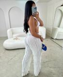 Women's Mesh Wave Pattern Ruffle Loose High Waist Wide Leg Trousers