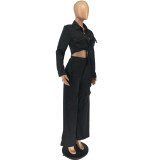 Solid Color Long Sleeves Single-breasted Wide Legs Trousers Two Piece Set