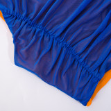 Sheer Mesh Splice Sleeveless Top and Short Skirt Set