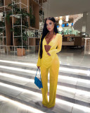 Women Mesh Sheer 3pcs Outfits Long Sleeve Top Long Pant Bikini Cover Up