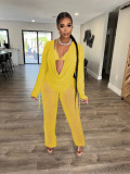 Women Mesh Sheer 3pcs Outfits Long Sleeve Top Long Pant Bikini Cover Up