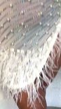 Solid Color Rhinestone Embellishments Mesh Tulle Dress