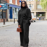 High Neck Irregular Split Long Sleeve Casual Two Piece Set