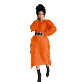 Winter Solid Color Long Sleeve Fringed Sweater Dress