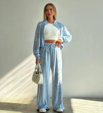 Versatile Velvet Set - Zipper Collar Jacket and Wide Leg Pants