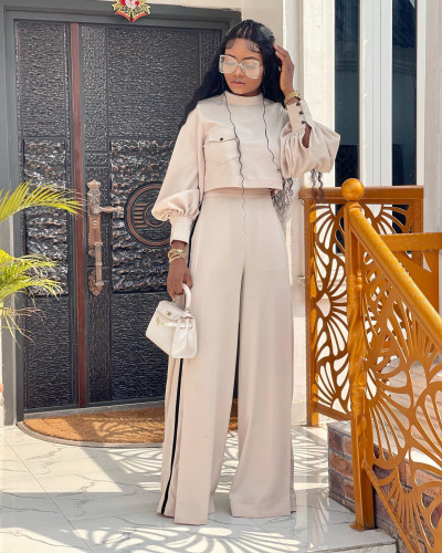 Loose Half Turtleneck Long-sleeved Top and Wide-leg Pants Casual Set