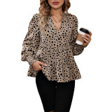 Solid Long Sleeve V Neck Leopard Print Tee