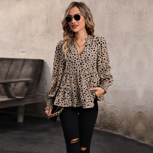 Solid Long Sleeve V Neck Leopard Print Tee