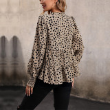 Solid Long Sleeve V Neck Leopard Print Tee
