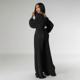 Autumn/Winter V-Neck Pleated Fabric Long Sleeve High-Waisted Wide Leg Jumpsuit