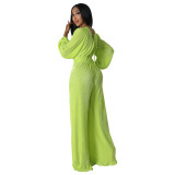 Autumn/Winter V-Neck Pleated Fabric Long Sleeve High-Waisted Wide Leg Jumpsuit