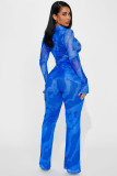 Seductive and Fashionable Net Yarn Printed Two-Piece Set