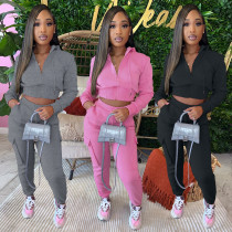Autumn/Winter Sweatshirt Hoodie Crop Tops & Pant Set