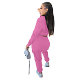 Autumn/Winter Sweatshirt Hoodie Crop Tops & Pant Set