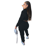 Autumn/Winter Sweatshirt Hoodie Crop Tops & Pant Set