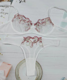 Seductive Low-rise Floral Embroidery Sheer Mesh Lingerie Set
