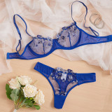 Seductive Low-rise Floral Embroidery Sheer Mesh Lingerie Set